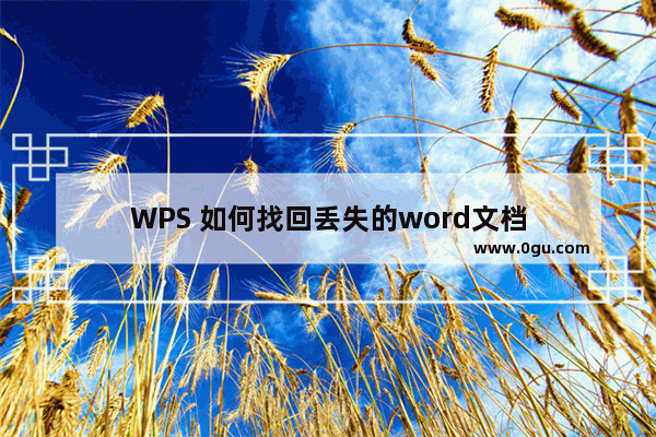 WPS 如何找回丢失的word文档