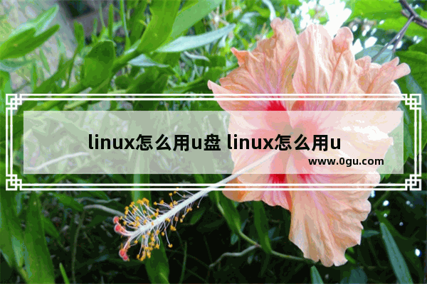 linux怎么用u盘 linux怎么用u盘传输文件