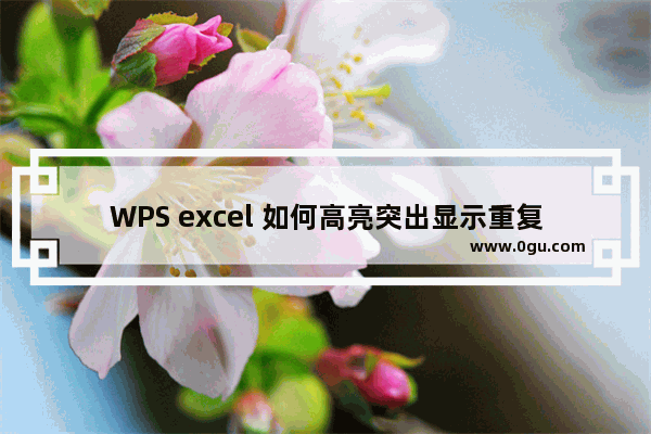 WPS excel 如何高亮突出显示重复项并快速删除