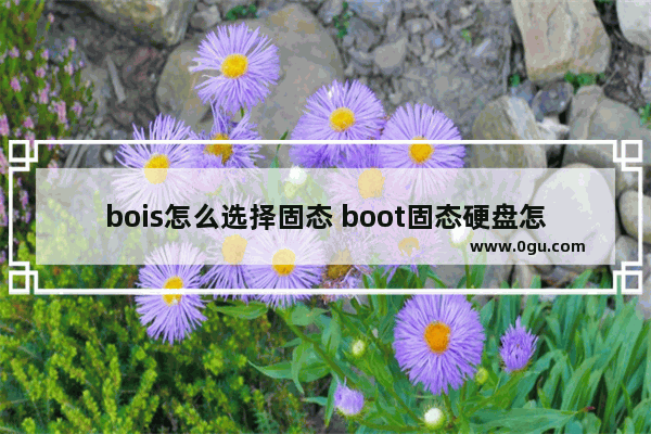 bois怎么选择固态 boot固态硬盘怎么设置