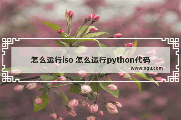 怎么运行iso 怎么运行python代码