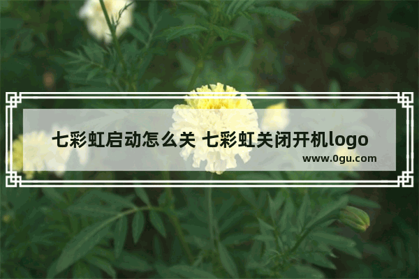 七彩虹启动怎么关 七彩虹关闭开机logo