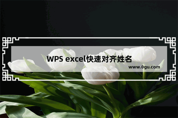 WPS excel快速对齐姓名