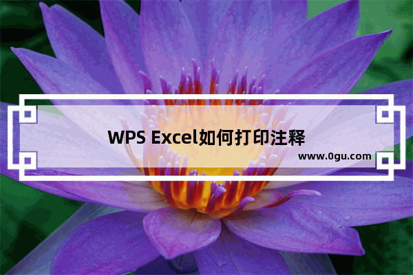 WPS Excel如何打印注释