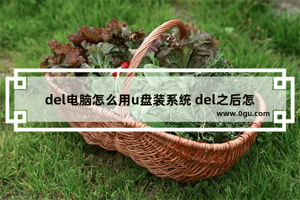 del电脑怎么用u盘装系统 del之后怎么进u盘