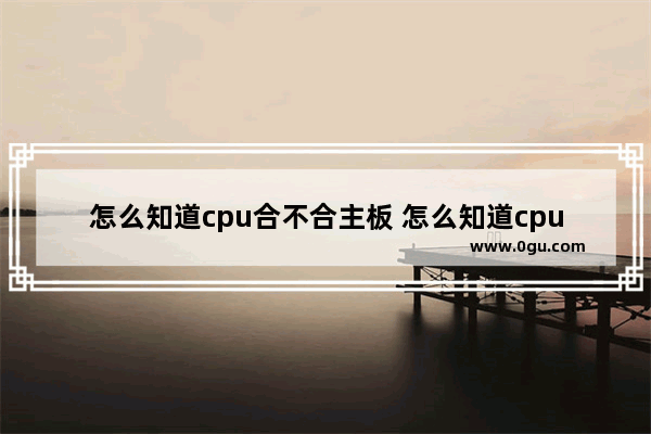 怎么知道cpu合不合主板 怎么知道cpu与主板配不配