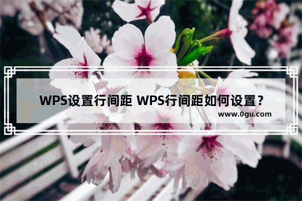 WPS设置行间距 WPS行间距如何设置？