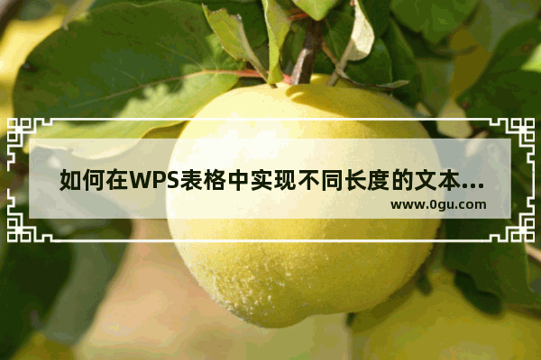 如何在WPS表格中实现不同长度的文本对齐