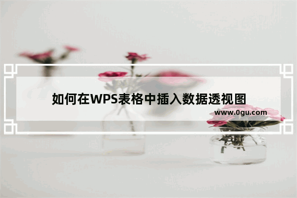 如何在WPS表格中插入数据透视图