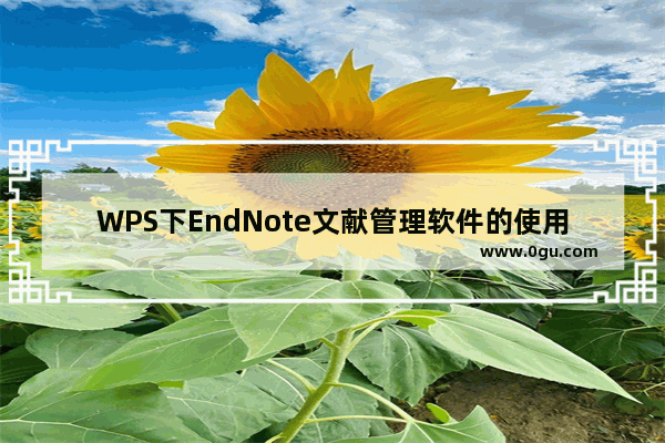 WPS下EndNote文献管理软件的使用