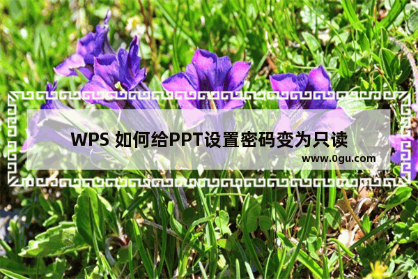 WPS 如何给PPT设置密码变为只读