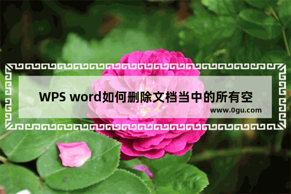 WPS word如何删除文档当中的所有空格