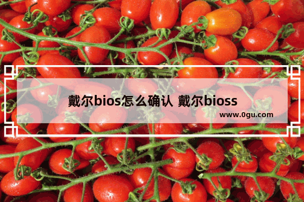 戴尔bios怎么确认 戴尔bioss