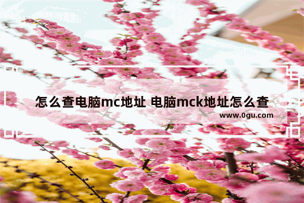 怎么查电脑mc地址 电脑mck地址怎么查