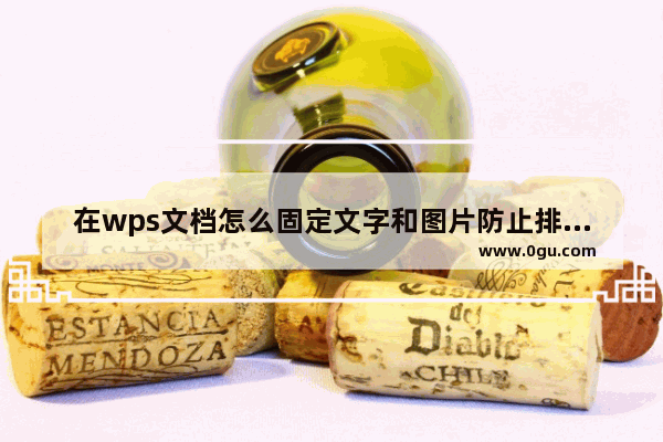 在wps文档怎么固定文字和图片防止排版混乱?