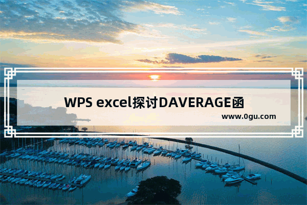 WPS excel探讨DAVERAGE函数的用途