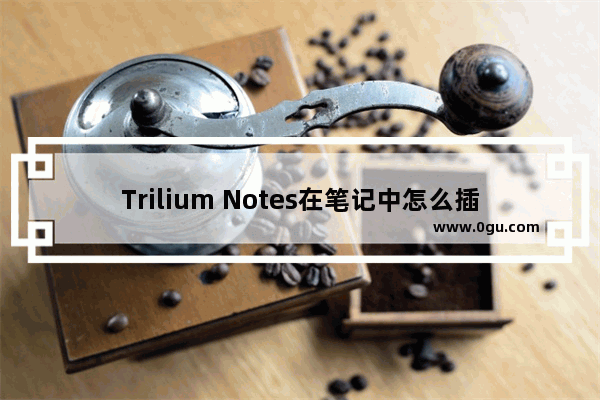 Trilium Notes在笔记中怎么插入表格 Trilium Notes在笔记中插入表格的方法