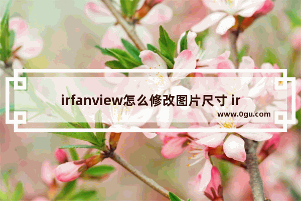 irfanview怎么修改图片尺寸 irfanview修改图片尺寸大小的方法