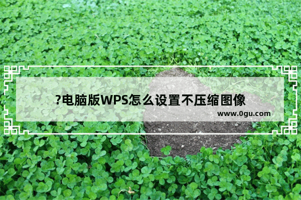 ?电脑版WPS怎么设置不压缩图像