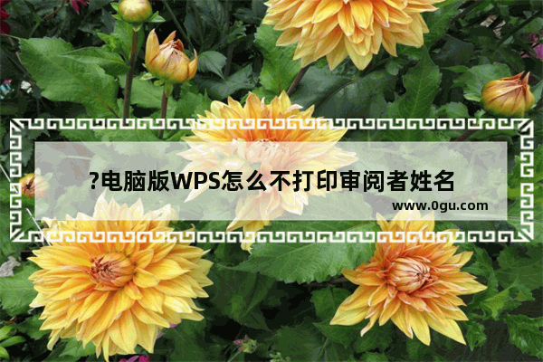 ?电脑版WPS怎么不打印审阅者姓名