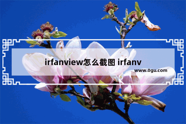 irfanview怎么截图 irfanview全屏截图的方法