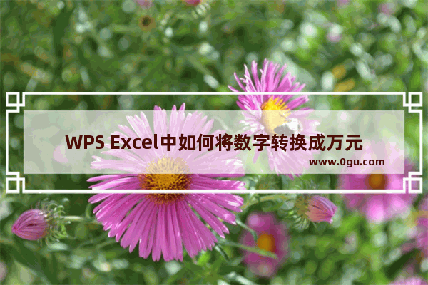 WPS Excel中如何将数字转换成万元单位