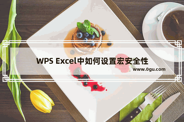 WPS Excel中如何设置宏安全性