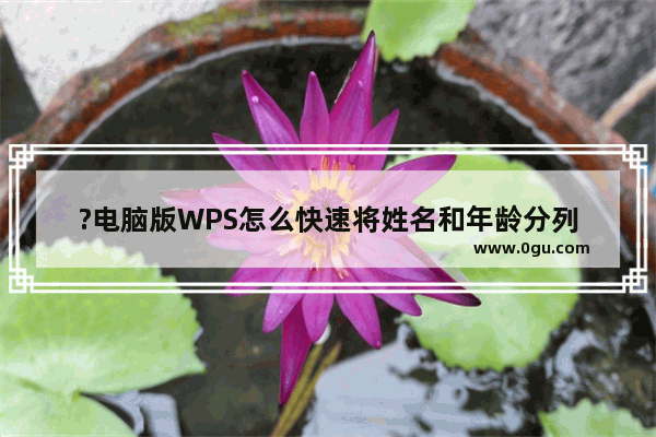 ?电脑版WPS怎么快速将姓名和年龄分列