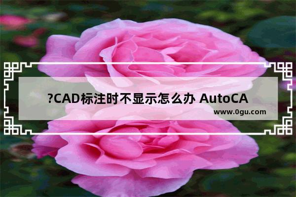 ?CAD标注时不显示怎么办 AutoCAD中解决标注时没有显示尺寸数字的方法教程