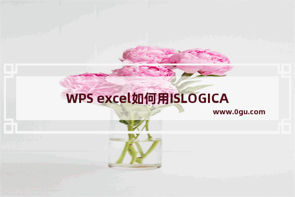 WPS excel如何用ISLOGICAL函数检验逻辑值