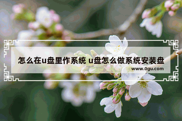 怎么在u盘里作系统 u盘怎么做系统安装盘