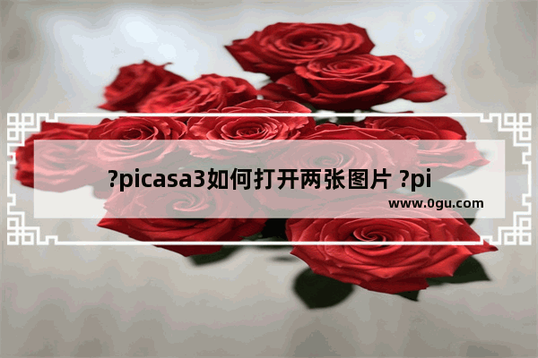 ?picasa3如何打开两张图片 ?picasa3打开多张图片的方法