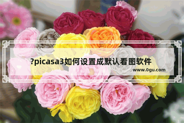 ?picasa3如何设置成默认看图软件 ?picasa3设置成默认图片浏览器的方法