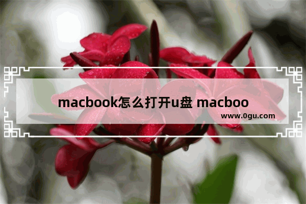 macbook怎么打开u盘 macbook怎样打开u盘