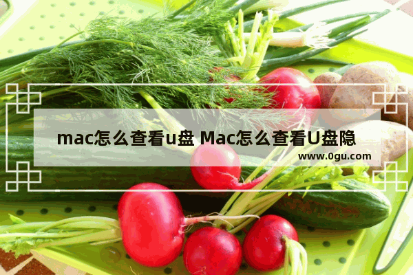 mac怎么查看u盘 Mac怎么查看U盘隐藏文件夹