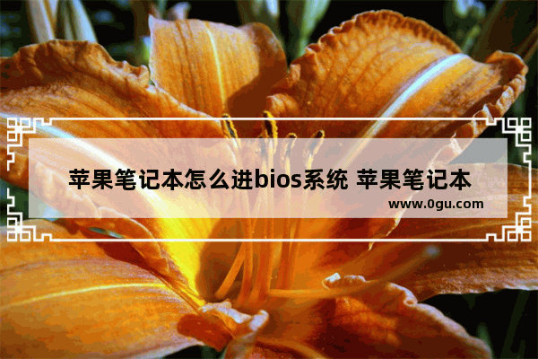 苹果笔记本怎么进bios系统 苹果笔记本如何进bios