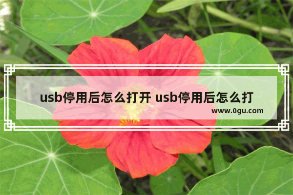 usb停用后怎么打开 usb停用后怎么打开网络连接