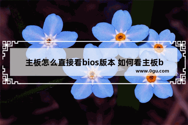 主板怎么直接看bios版本 如何看主板bios