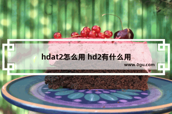 hdat2怎么用 hd2有什么用