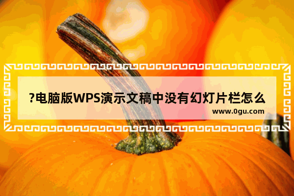 ?电脑版WPS演示文稿中没有幻灯片栏怎么办