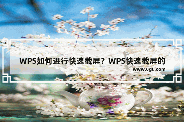 WPS如何进行快速截屏？WPS快速截屏的方法