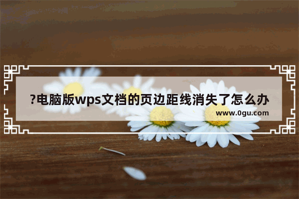 ?电脑版wps文档的页边距线消失了怎么办