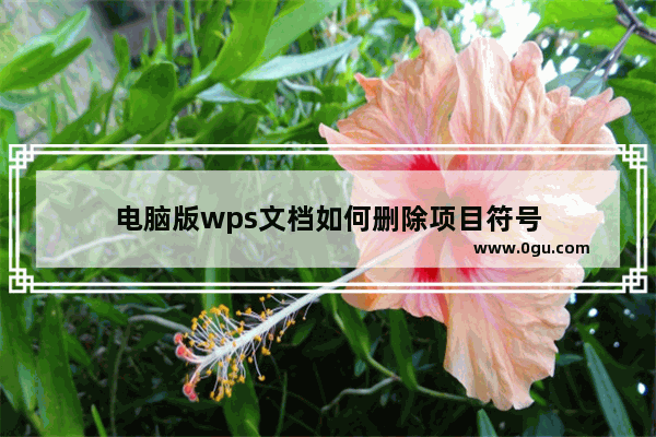 电脑版wps文档如何删除项目符号