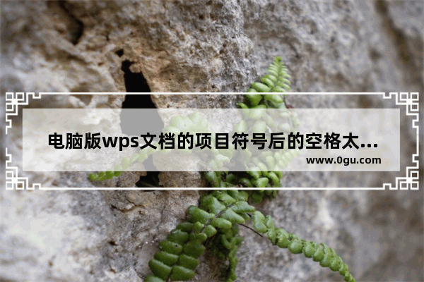 电脑版wps文档的项目符号后的空格太长怎么办