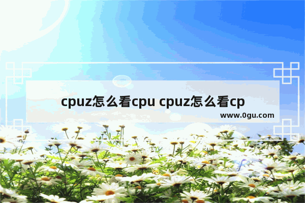 cpuz怎么看cpu cpuz怎么看cpu体质好坏