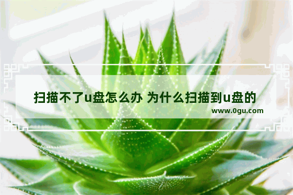 扫描不了u盘怎么办 为什么扫描到u盘的 文件有的打不开