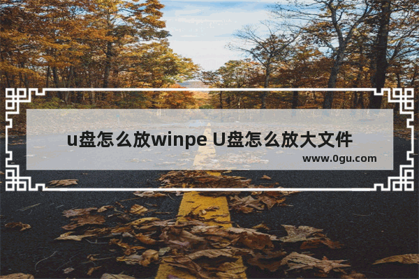 u盘怎么放winpe U盘怎么放大文件