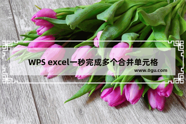 WPS excel一秒完成多个合并单元格的求和方法