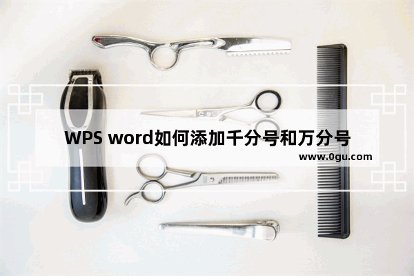 WPS word如何添加千分号和万分号