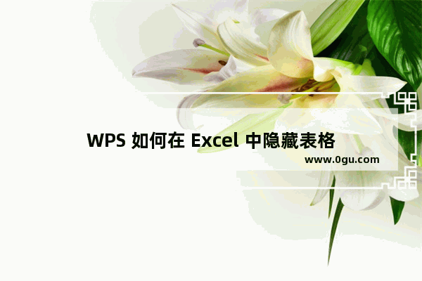 WPS 如何在 Excel 中隐藏表格